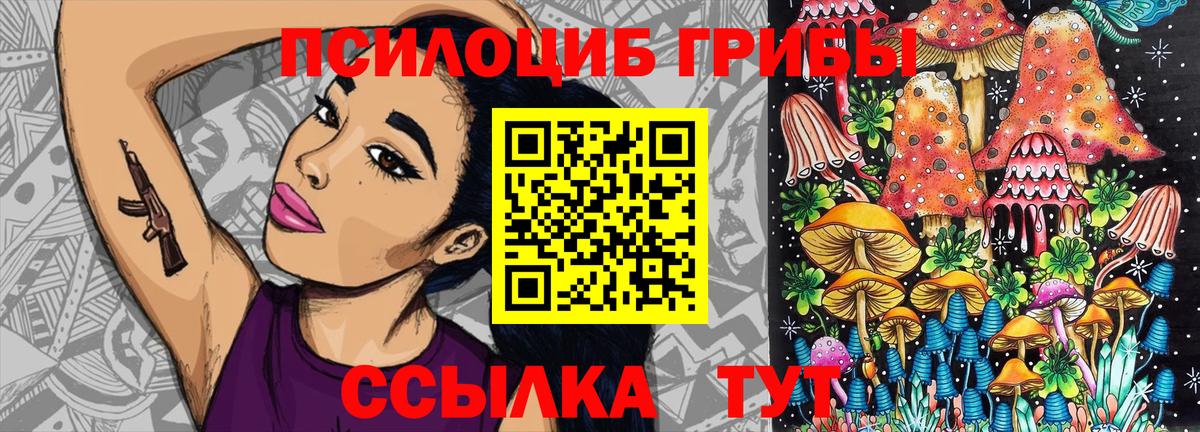 Ахтубинск  Галлюциногенные грибы Psilocybine cubensis  Вход с VPN  Псилоцибиновые грибы GOLDEN TEACHER 